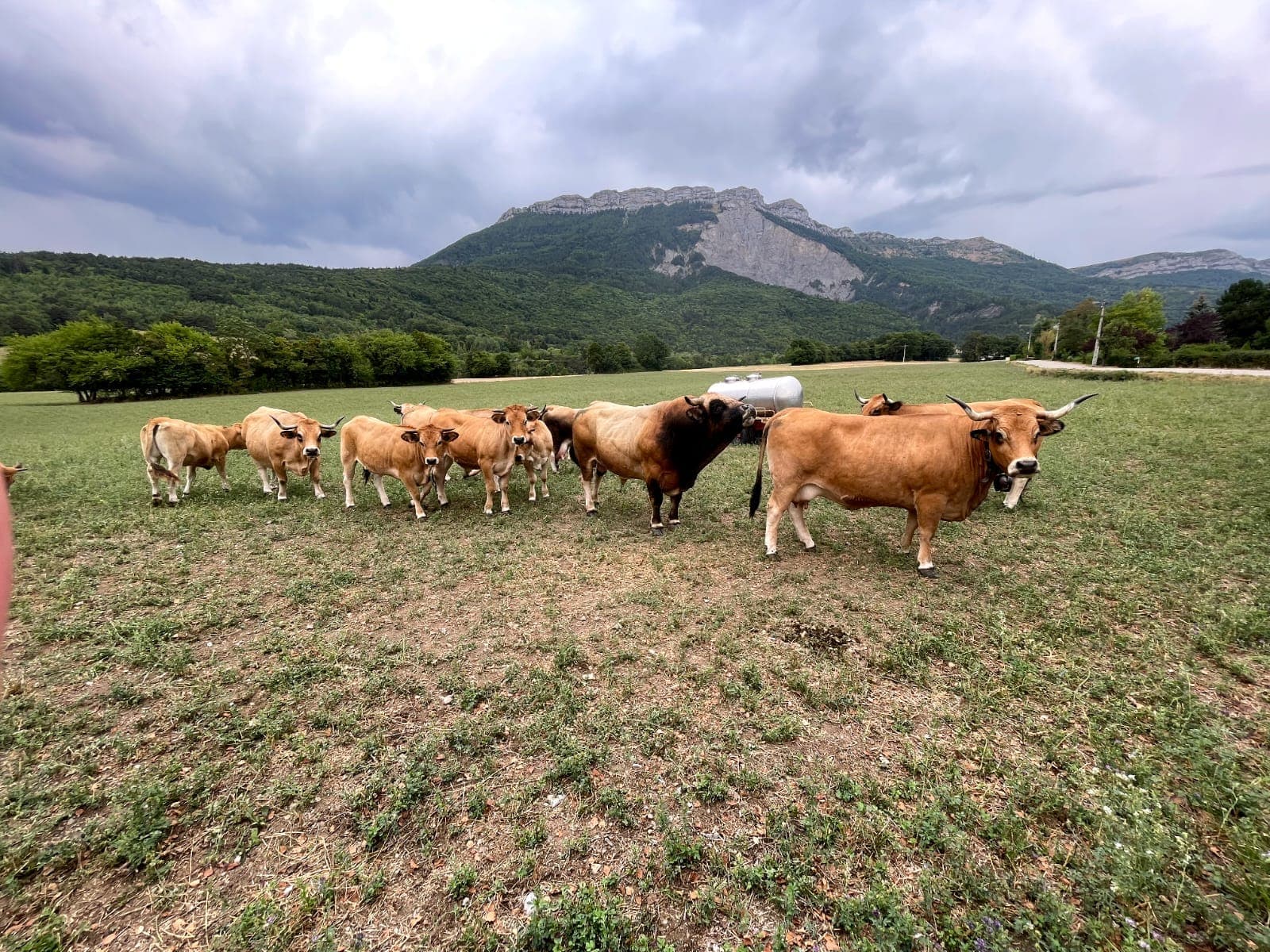 La Ferme de Coutalay