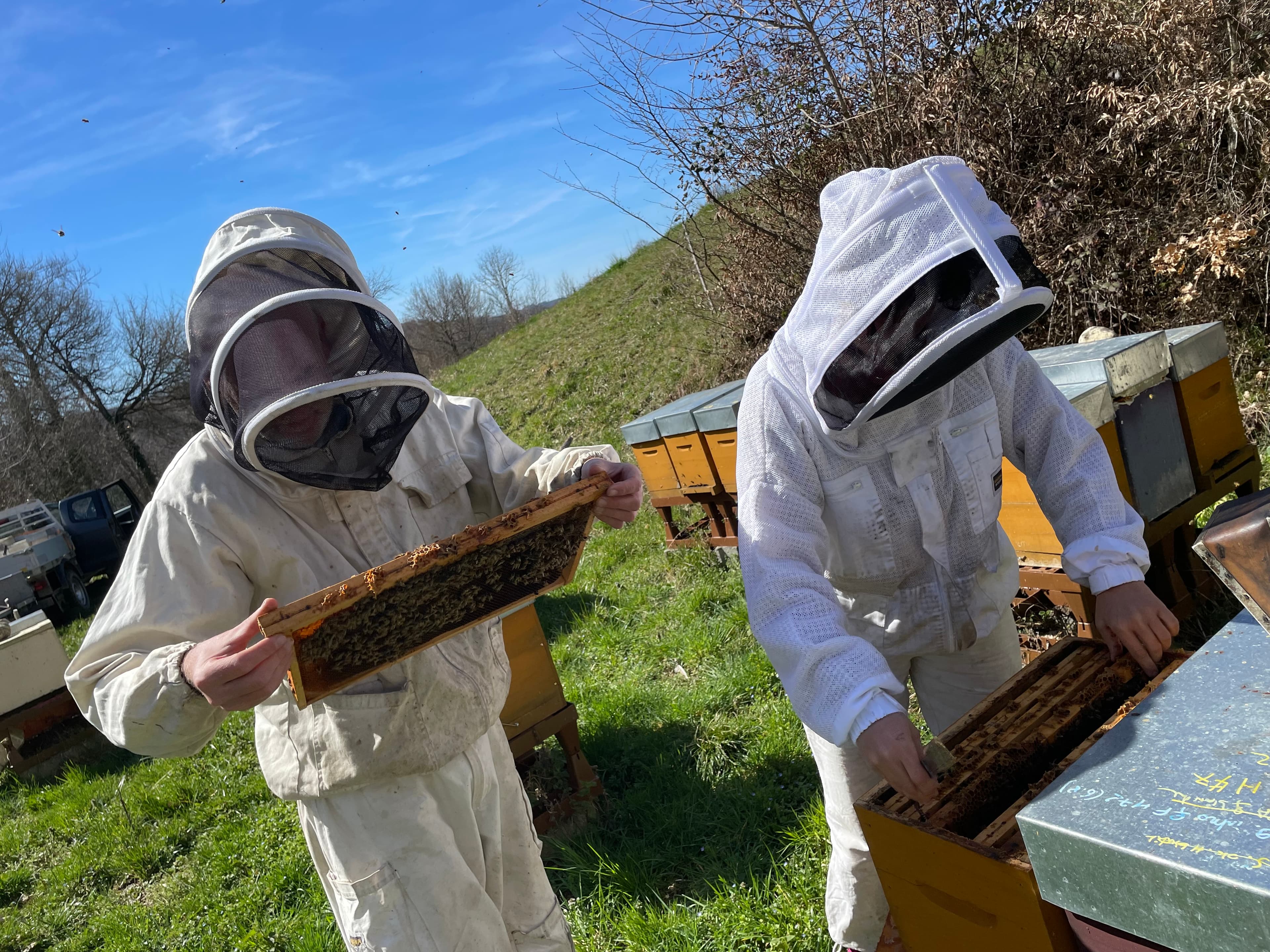 La Ferme des Butineuses